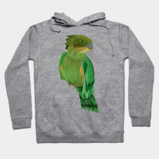 Kea Hoodie